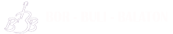 Ilyen lesz a befutóérem :)